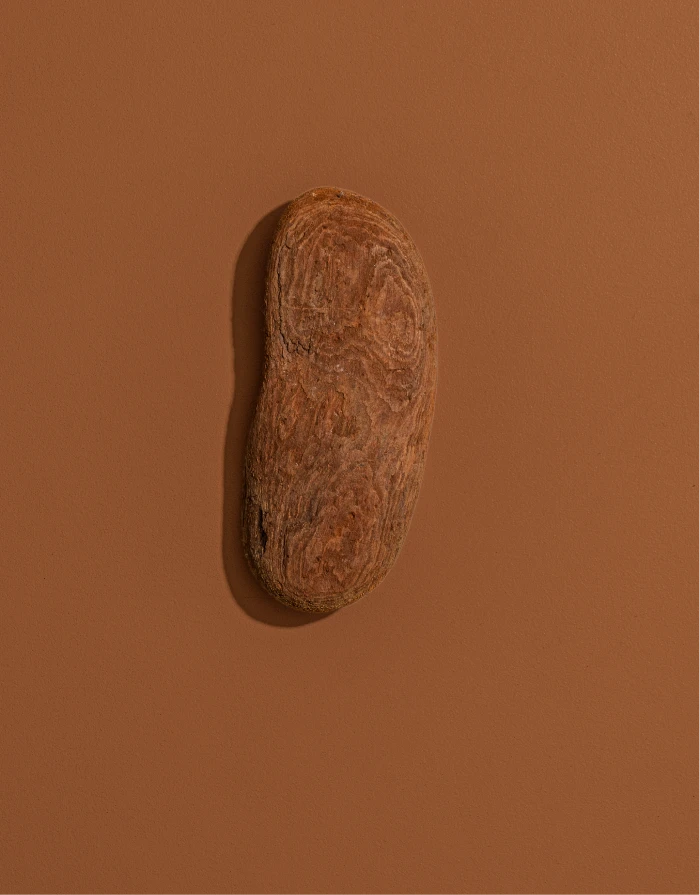 Lievore Altherr Desile Park Adell Lounge Chair Arper Product Design Art Direction 22