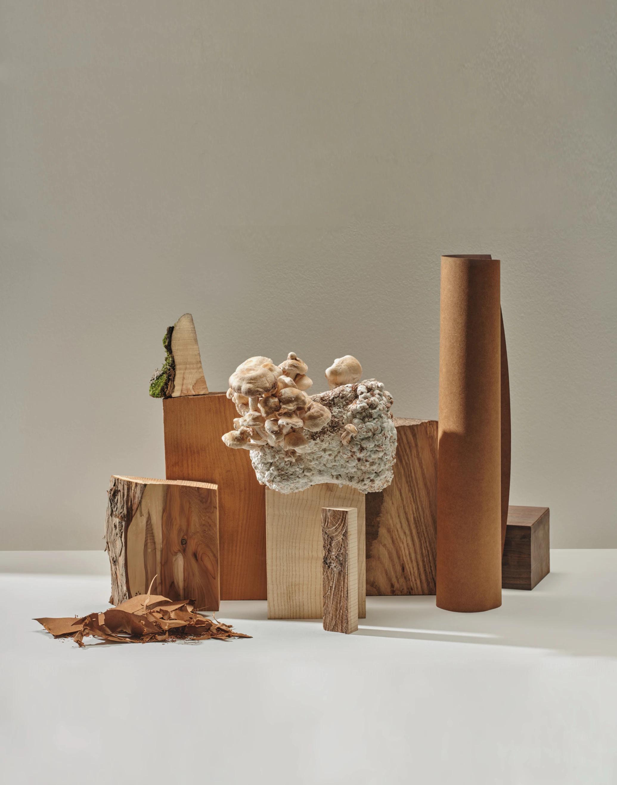 Altherr Desile Park Catifa Carta Chair Furniture Product Design Art Direction Color Design 13