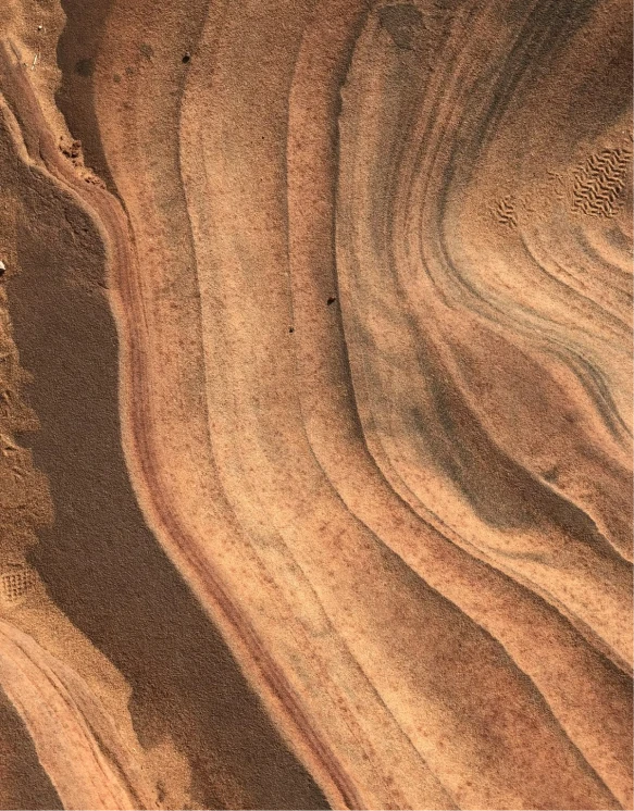 Altherr Desile Park Christmas Card Art Direction 08