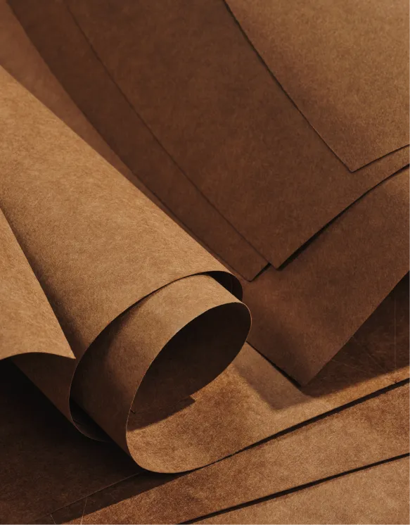 Altherr Desile Park Catifa Carta Chair Furniture Product Design Art Direction Color Design 03