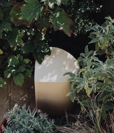 Adp Studio Creativedirection Green 2a 3x