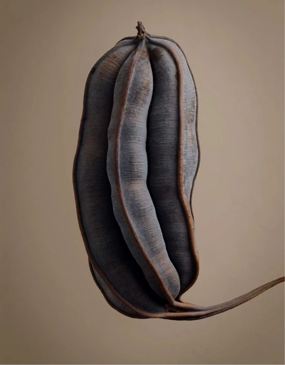 Altherr Desile Park Christmas Card Art Direction 04