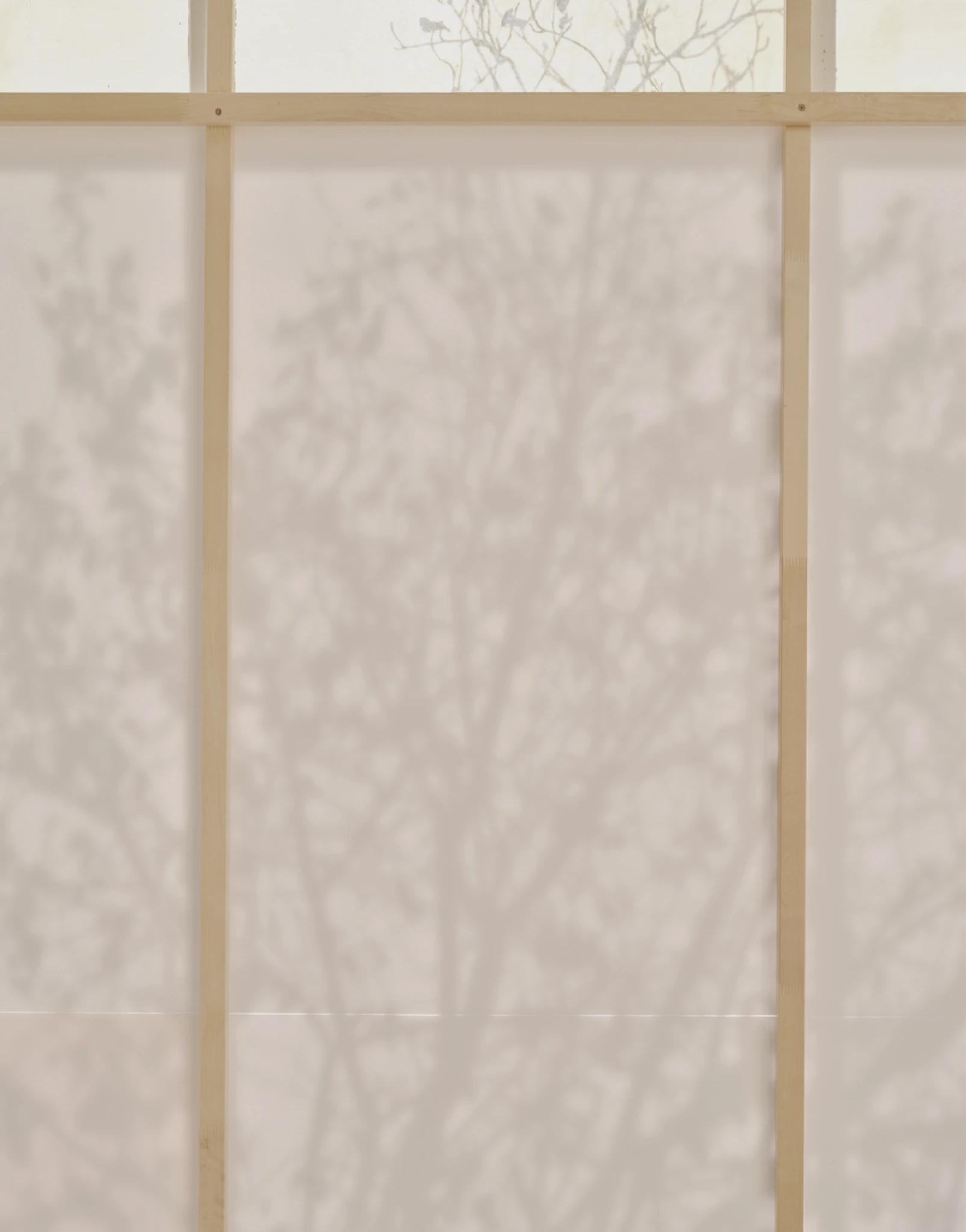 Altherr Desile Park The Studio 45