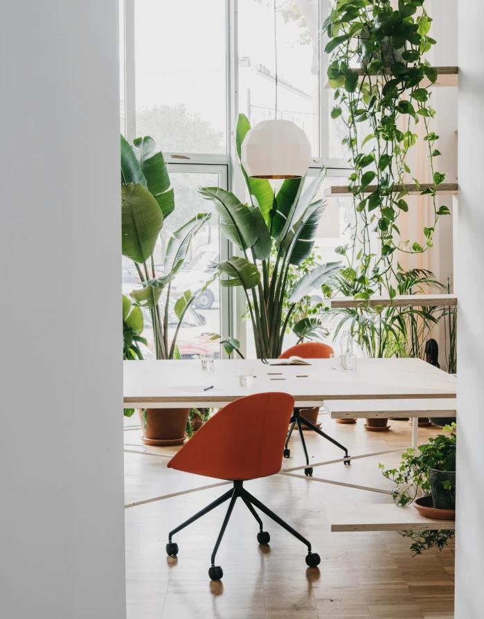 Lievore Altherr Desile Park Cila Go Cila Chair Arper Product Design Art Direction 57