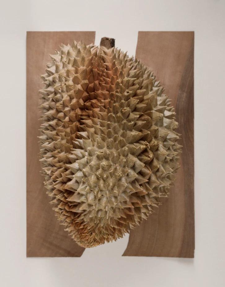 Studio Altherr Desile Park Arper 2018 Essential Creative Direction Art Direction 93