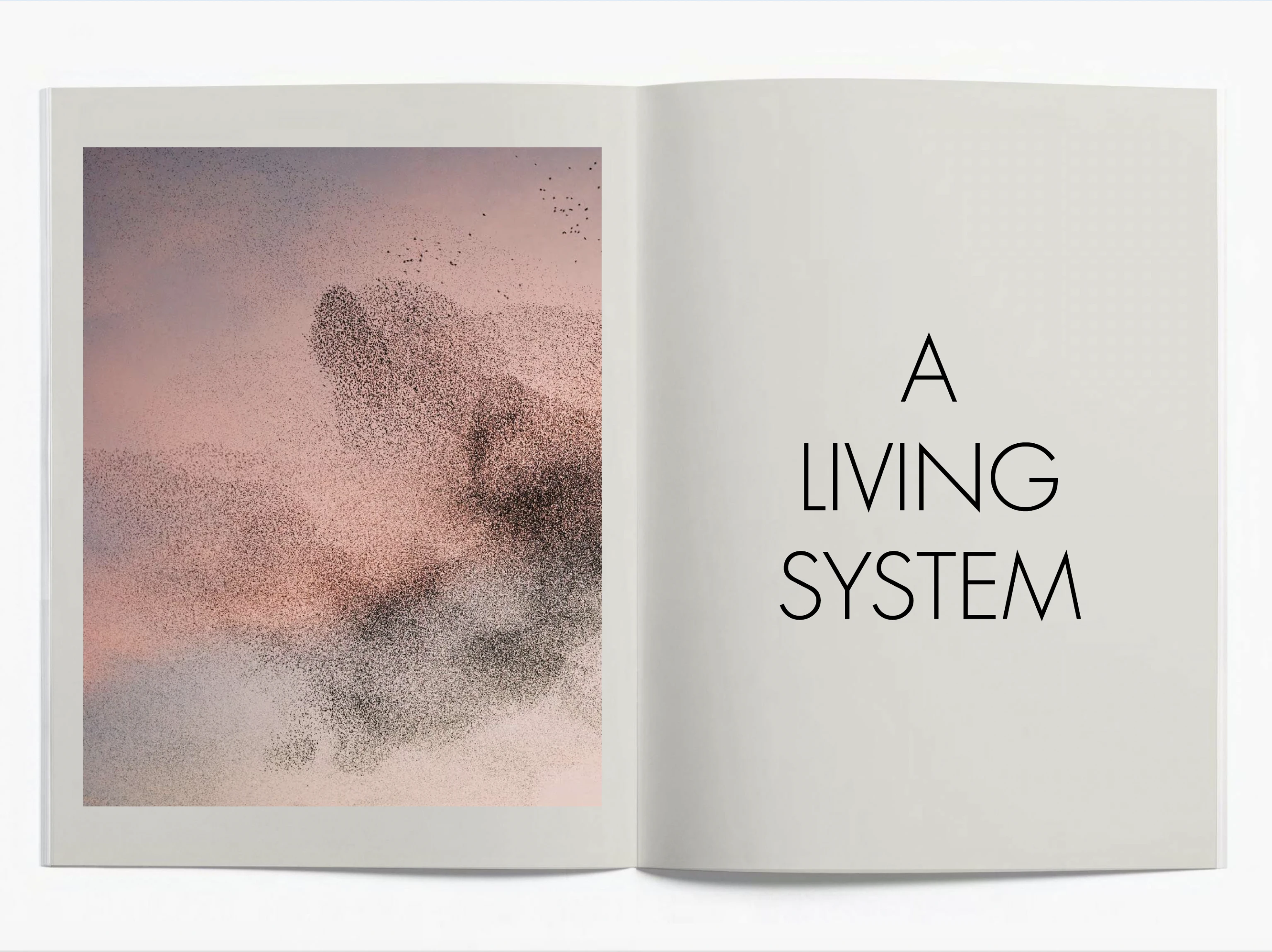 Studio Altherr Desile Arper Catifa New Edition 2016 Creative Direction Art Direction Color Design 38