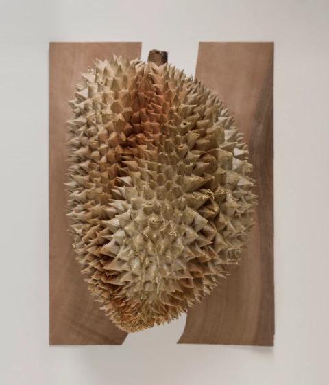 Adp Studio Creativedirection Sustainability 1d 3x