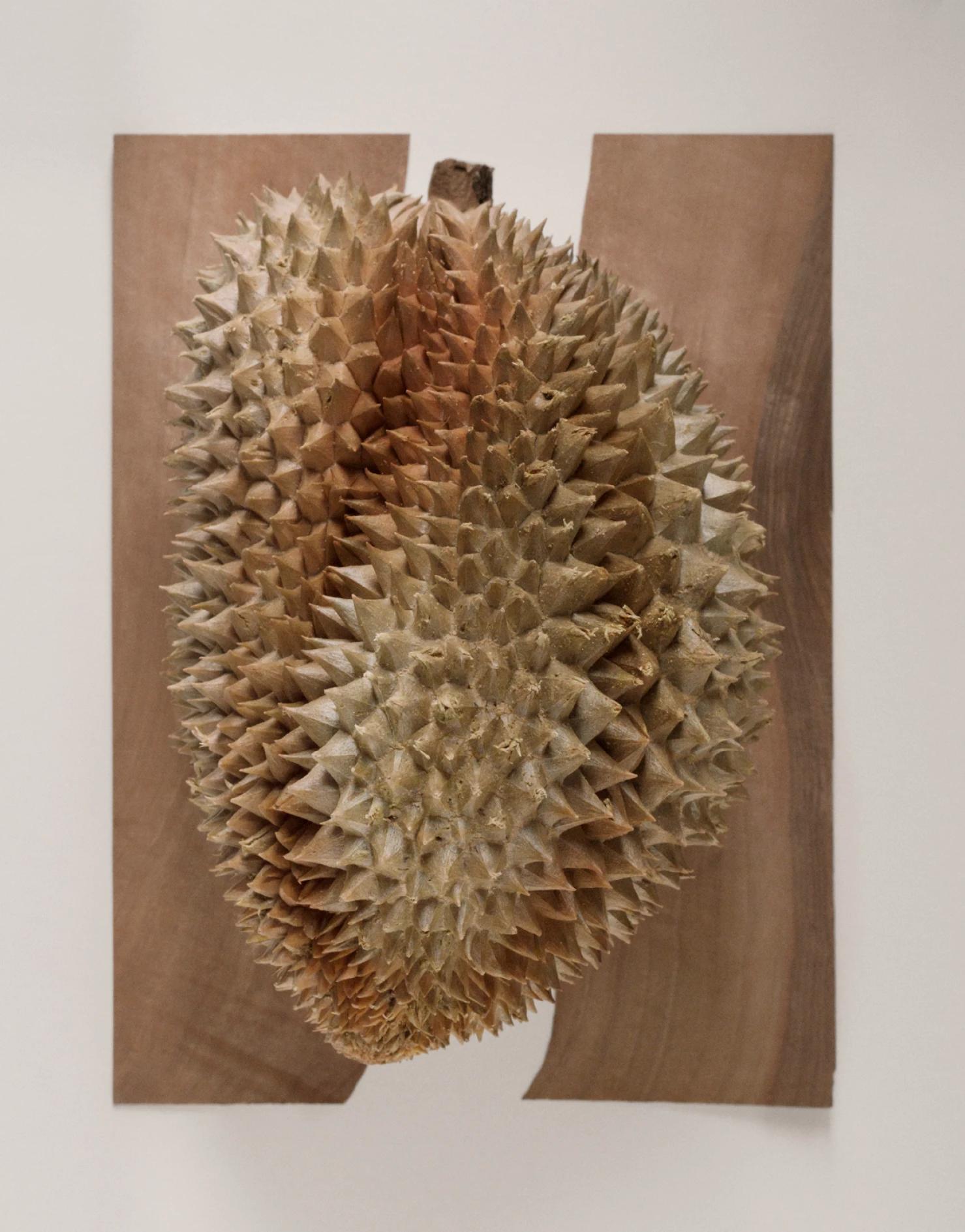 Studio Altherr Desile Arper Catifa New Edition 2016 Creative Direction Art Direction Color Design 20