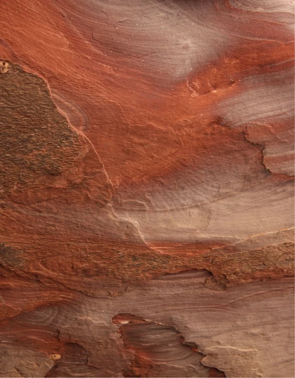 Altherr Desile Park Christmas Card Art Direction 10