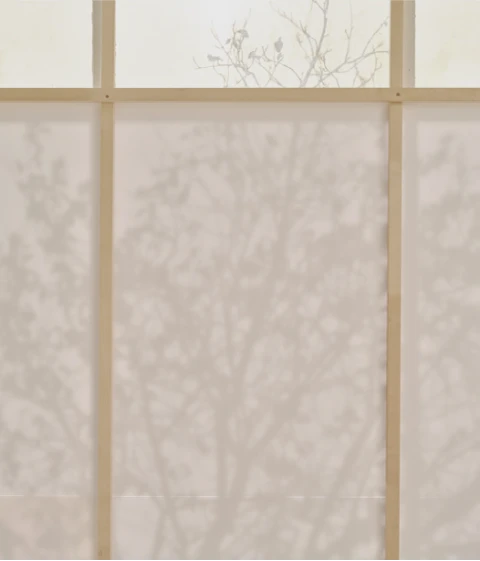 Adp Studio Creativedirection White 3e 3x