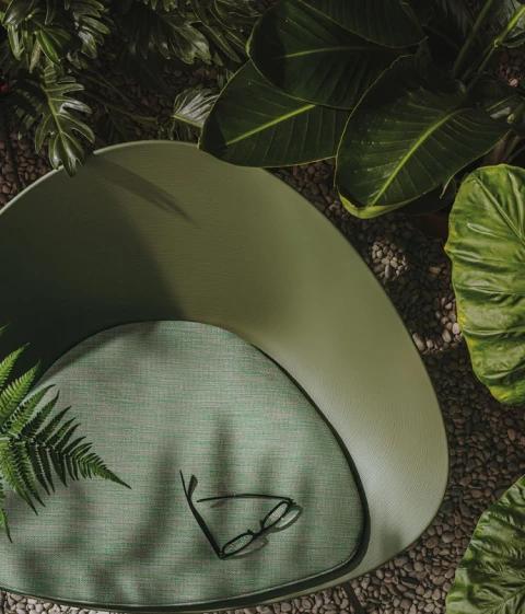 Adp Studio Creativedirection Green 2d 3x