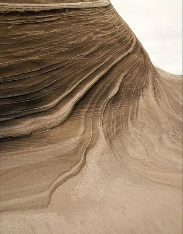 Altherr Desile Park Christmas Card Art Direction 03