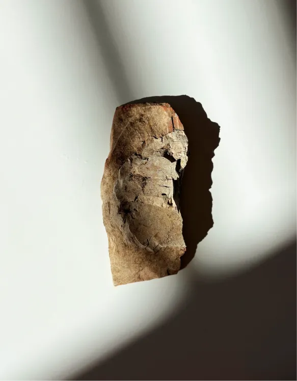 Altherr Desile Park Talo Table Product Design 04