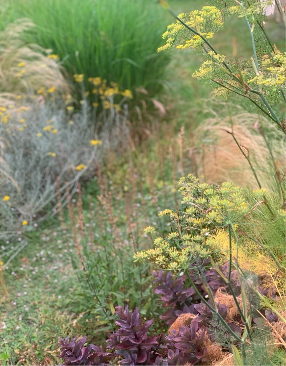 Altherr Desile Park Christmas Card Art Direction 19