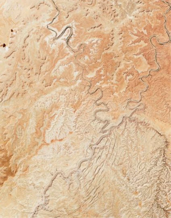 Altherr Desile Park Christmas Card Art Direction 11