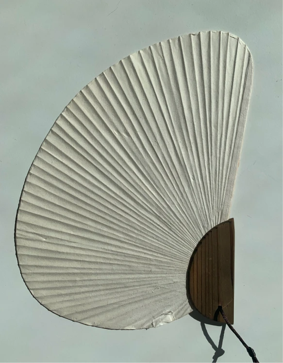 Altherr Desile Park Kata Lounge Product Design Art Direction Color Design 30