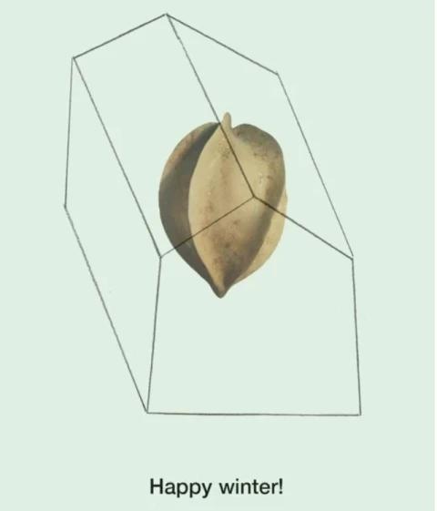 Adp Studio Creativedirection Green 3b 3x