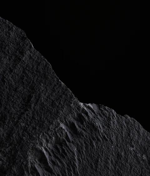 Adp Studio Creativedirection Black 2c 3x