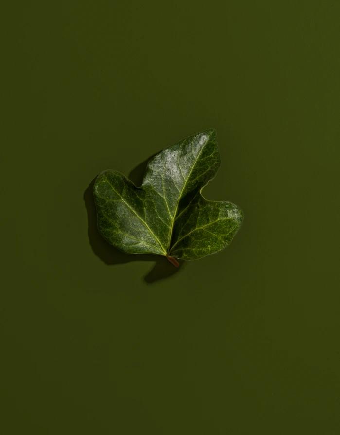 Lievore Altherr Desile Park Adell Lounge Chair Arper Product Design Art Direction 27