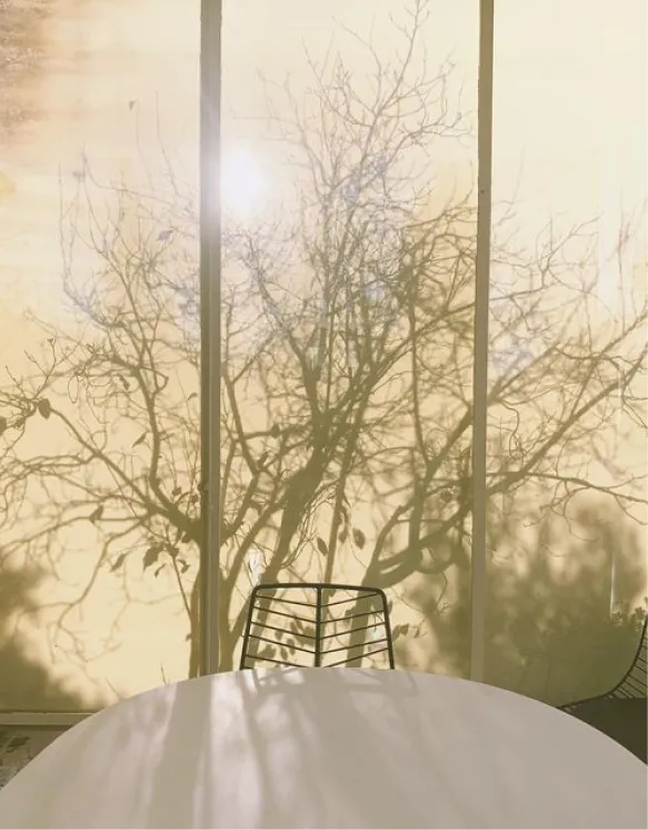 Altherr Desile Park The Studio 06