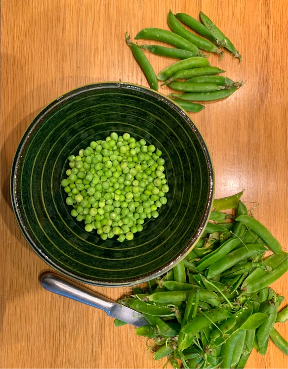 Altherr Desile Park Christmas Card Art Direction 18