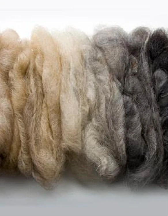 Altherr Desile Park Khilim Rugs Amini Product Design 04