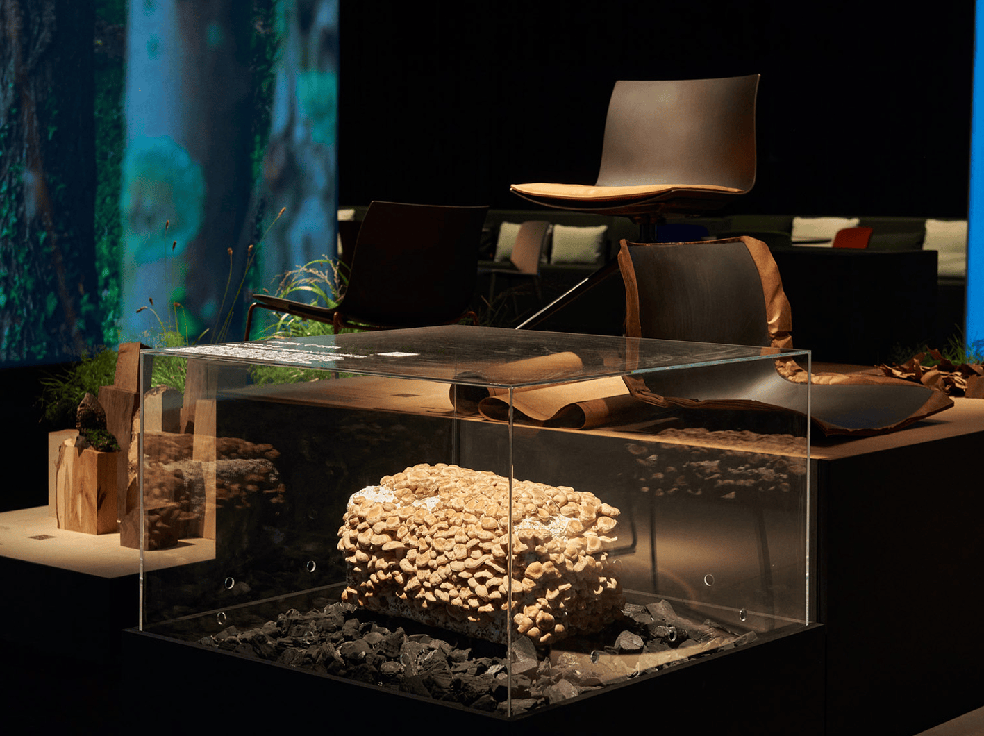 Altherr Desile Park Catifa Carta Chair Furniture Product Design Art Direction Color Design 14