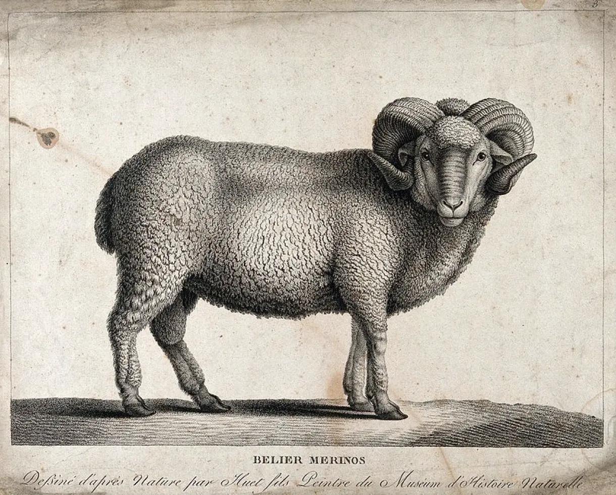 Altherr Desile Park Khilim Rugs Amini Product Design 12