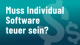 Individual- vs. Standardsoftware