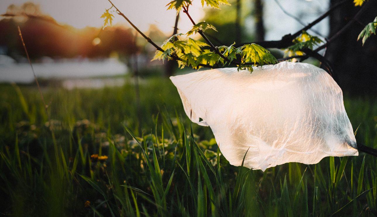 Styrofoam, threads, batteries, and plastic film