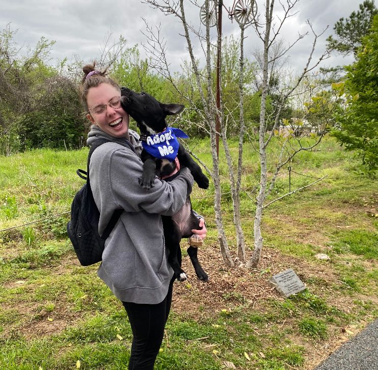 PAWS Atlanta
