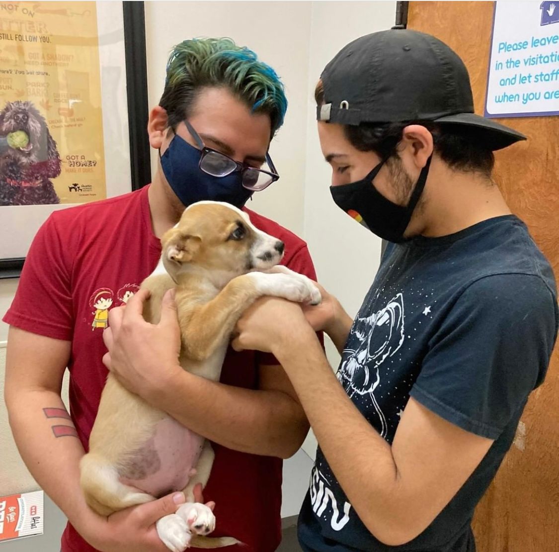 Austin Humane Society