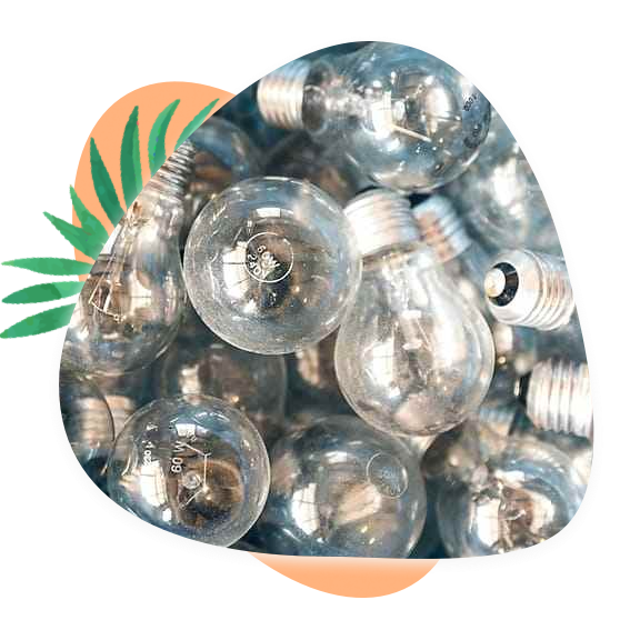 Incandescent Light Bulb Disposal Seattle Shelly Lighting