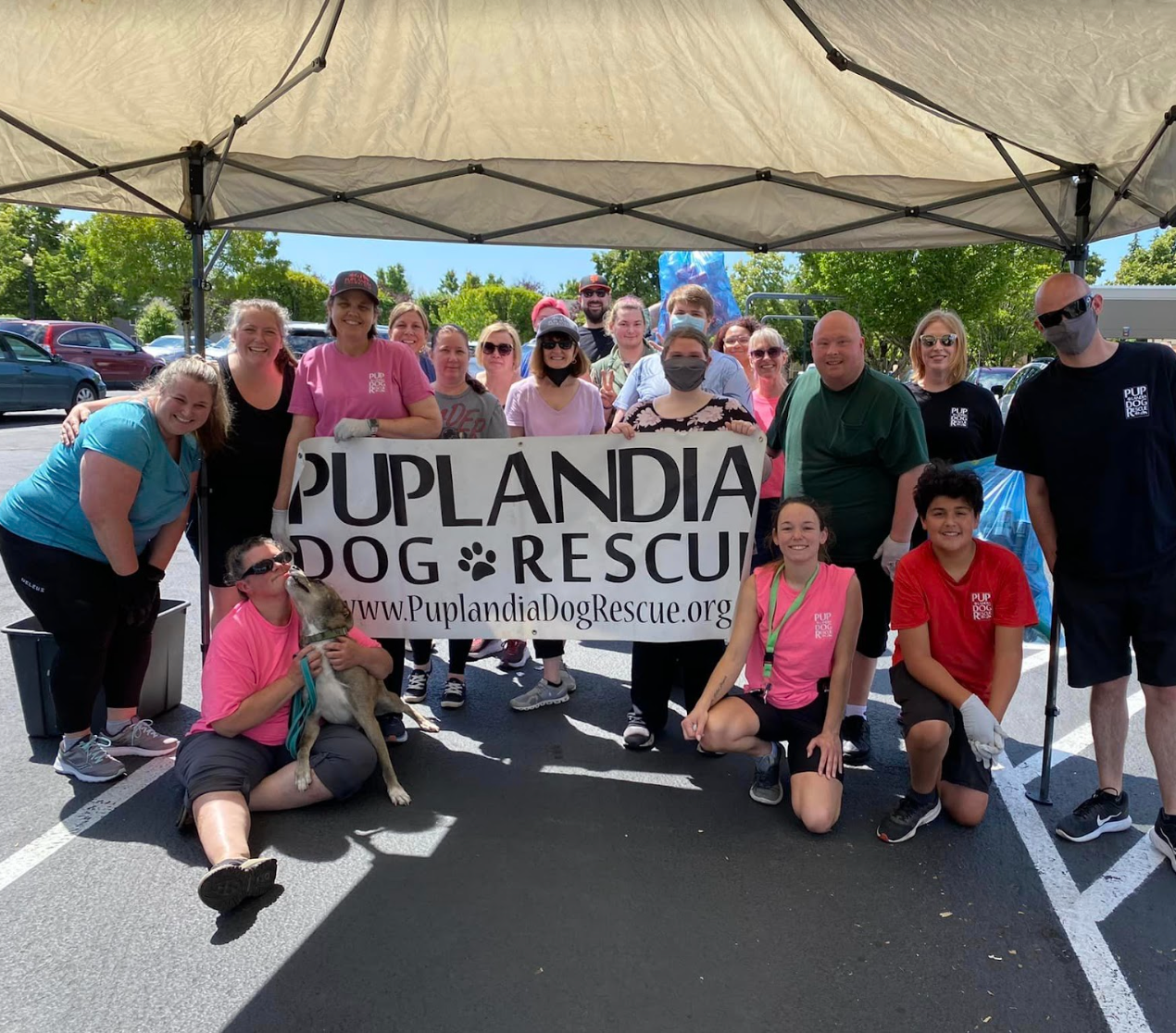 Puplandia Dog Rescue