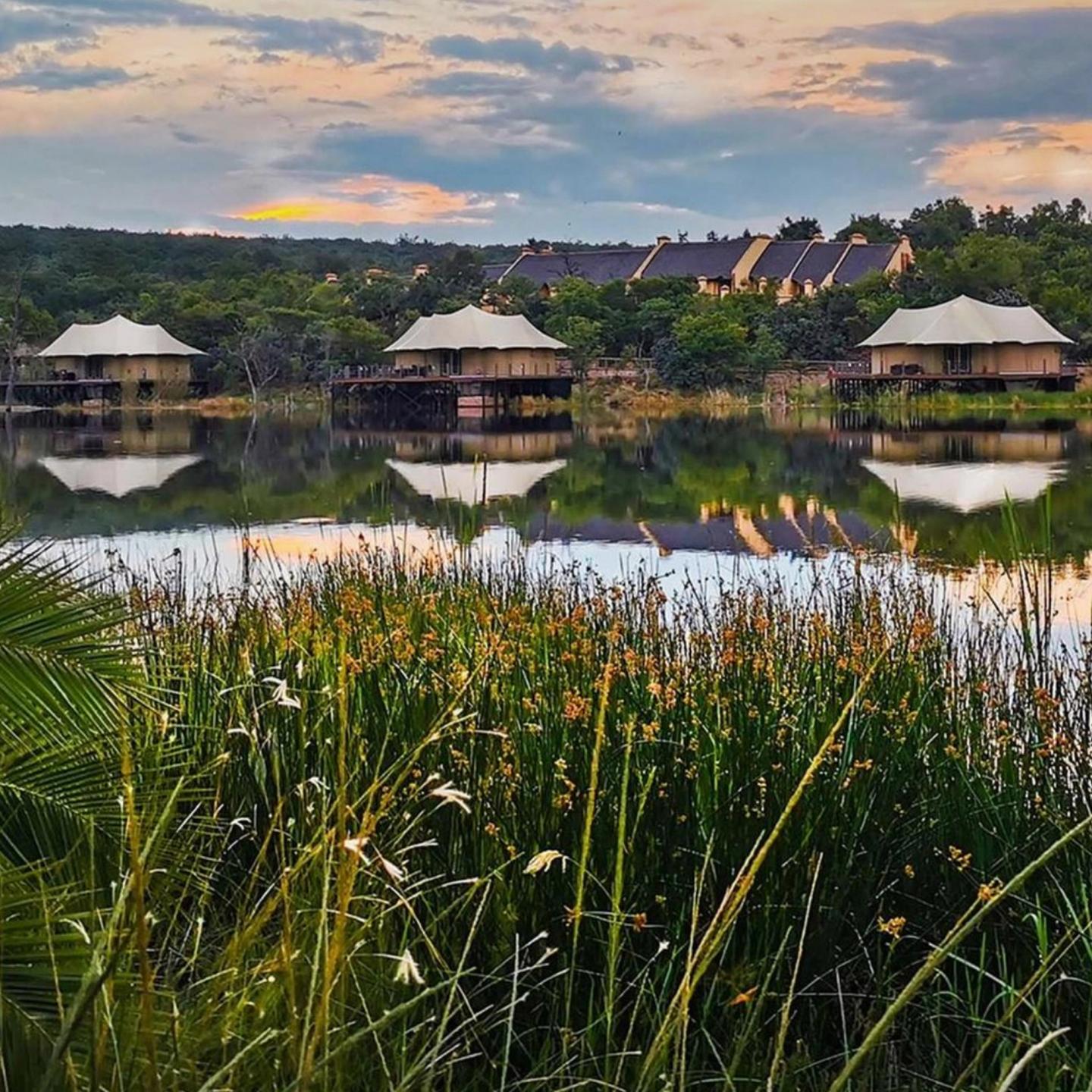 Luxury safari accommodations overlooking a peaceful lake surrounded by lush vegetation at Hippo Lakes in South Africa.