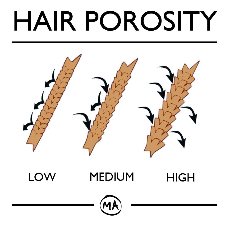 WHAT IS HAIR POROSITY How to do an accurate hair porosity test    YouTube
