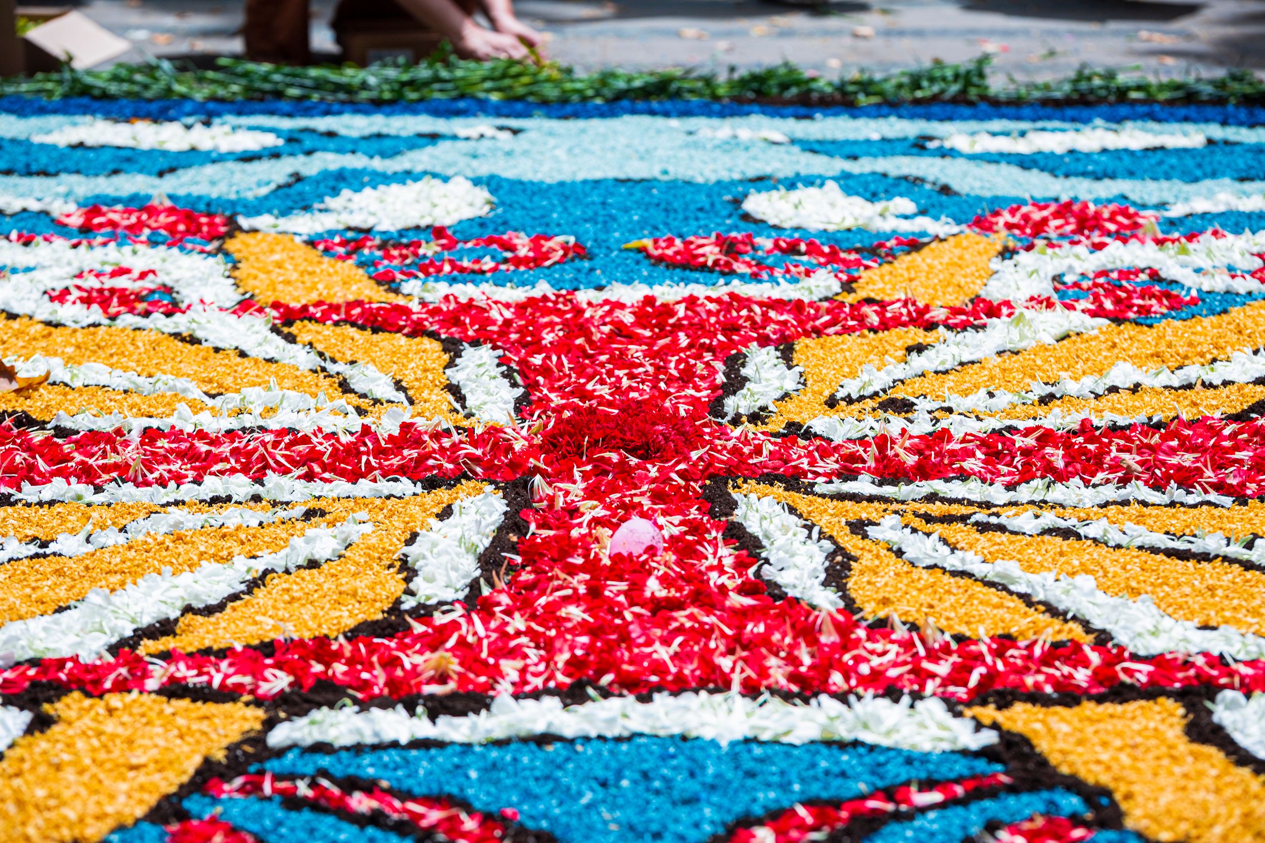Corpus Christi в Барселоне 2026: цветочные ковры, гиганты и древняя магия старого города