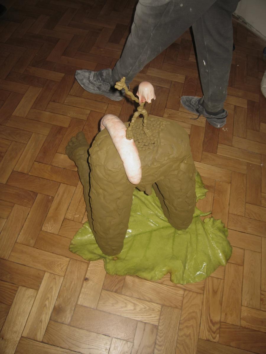 turnusowa fotka