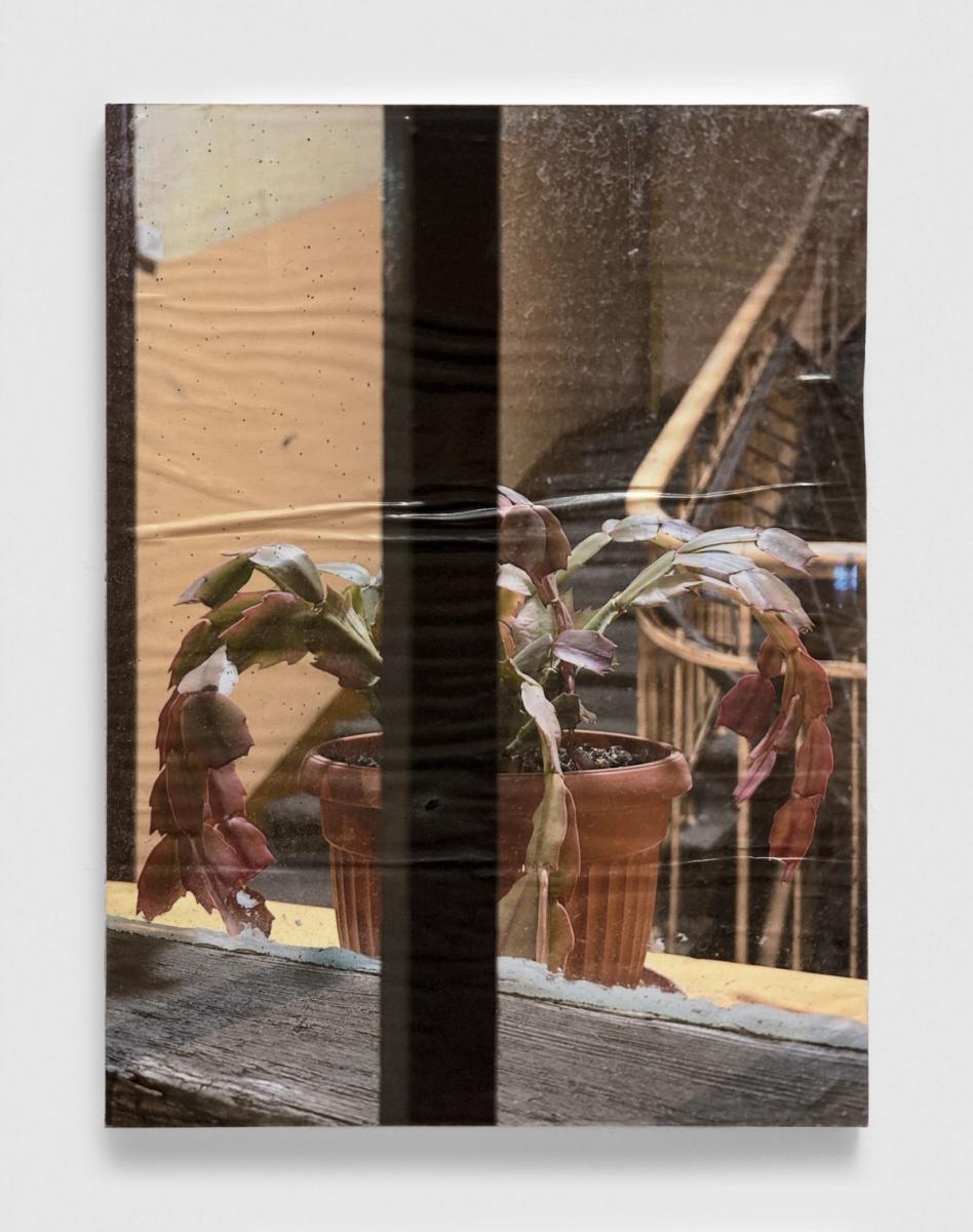 turnusowa fotka