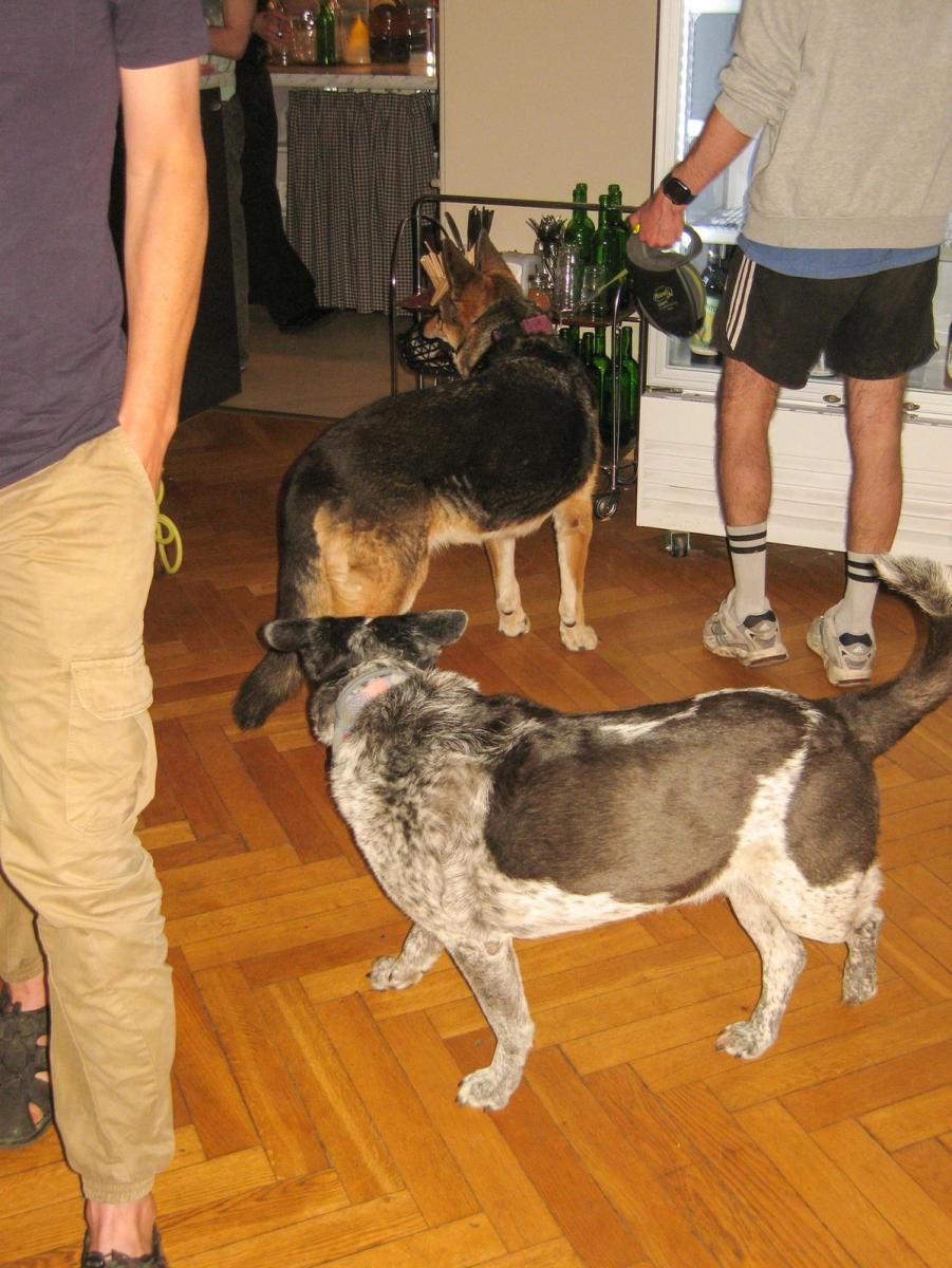 turnusowa fotka