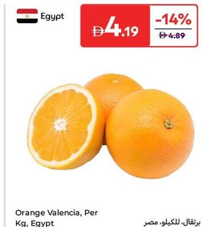 Orange Valencia, Per Kg, Egypt