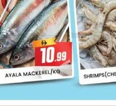 AYALA MACKEREL/KG
