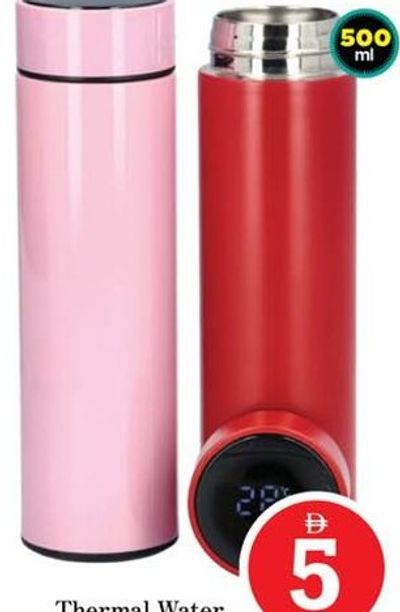 Thermal Water Bottle 500ml asstd.