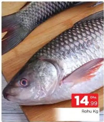 Rohu Kg