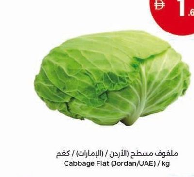 Cabbage Flat (Jordan/UAE) / Kg