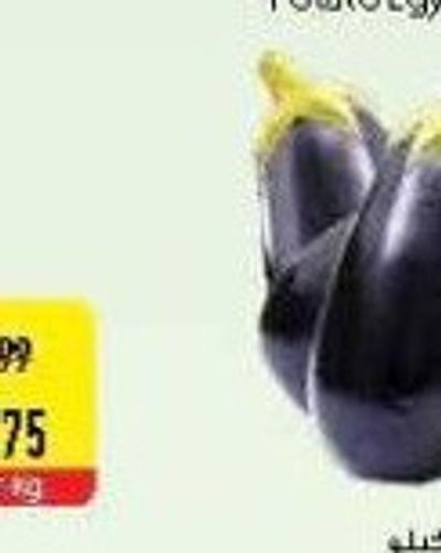 Eggplant UAE per kg
