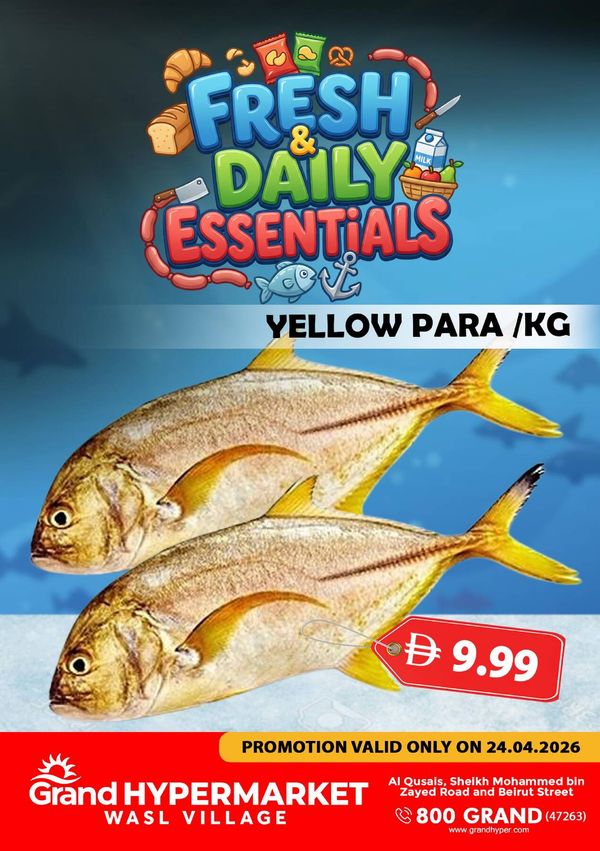 Fresh & Daily Essentials