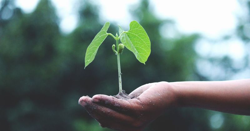 Sustainable Shopping in UAE: Eco-Friendly Stores & Practices