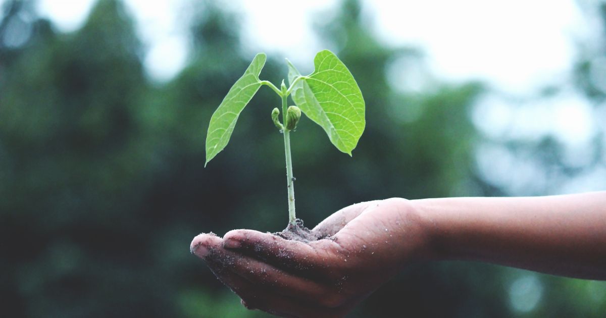 Sustainable Shopping in UAE: Eco-Friendly Stores & Practices