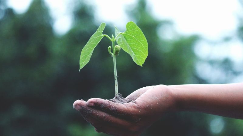 Sustainable Shopping in UAE: Eco-Friendly Stores & Practices